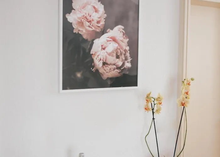 Estalagem Gasthaus Schornstein Osburg